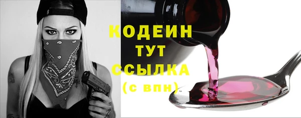 первитин Няндома