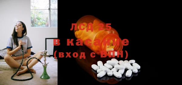 шишки Болохово