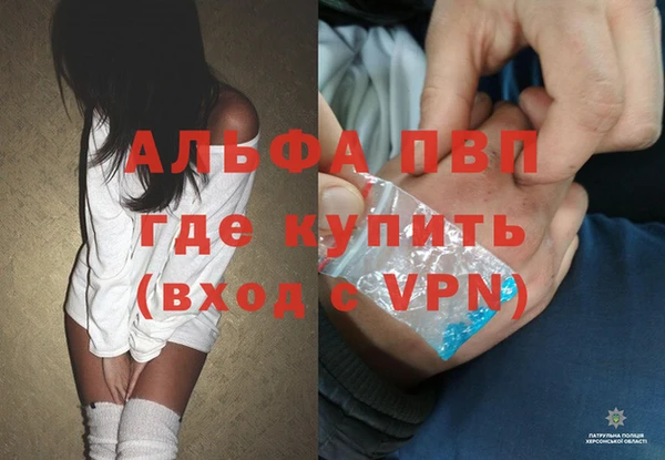 бошки Новодвинск