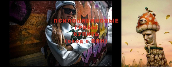 шишки Болохово