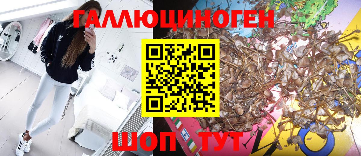 Псилоцибиновые грибы мухоморы Приморско-Ахтарск