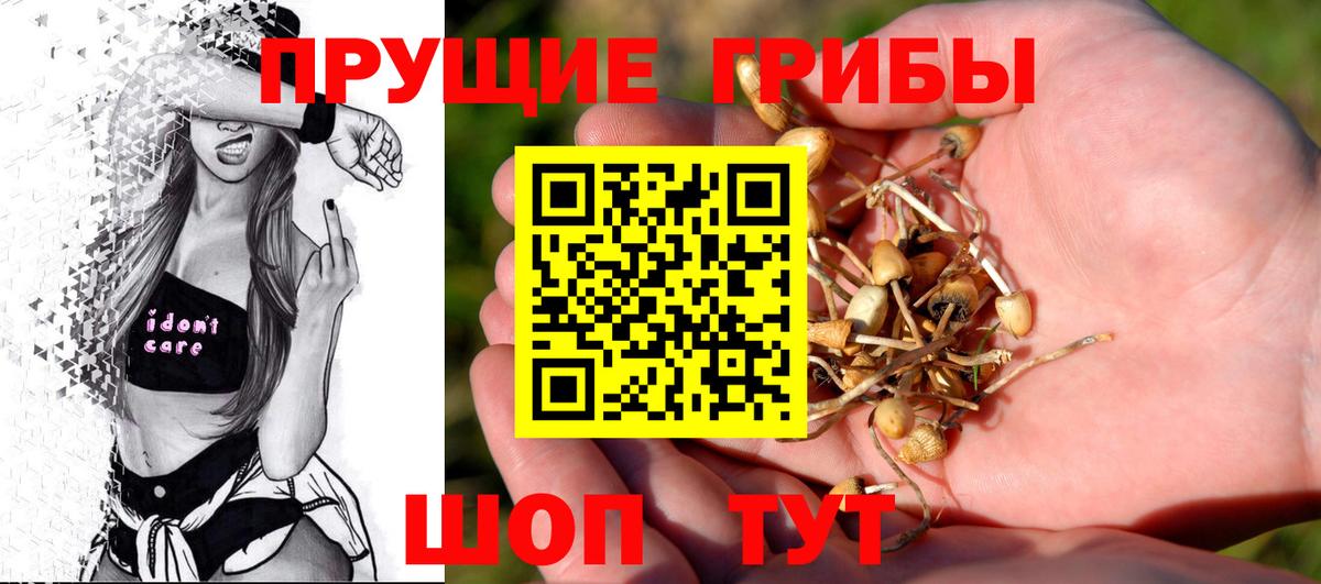 Приморско-Ахтарск  Вход с VPN  Гашиш  Мефедрон   Мефедрон  Конопля 